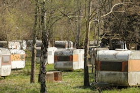 Several weathered and aged caravans are parked among trees in an outdoor setting, possibly resembling an abandoned or rustic campsite. The surroundings include grass and sparse foliage on the trees, suggesting early spring or late autumn.