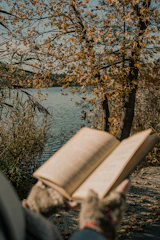 A serene outdoor scene with a person reading a book under a tree in golden afternoon light.