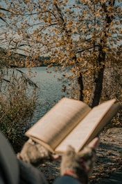 A serene scene with a person reading a philosophy book under a tree.