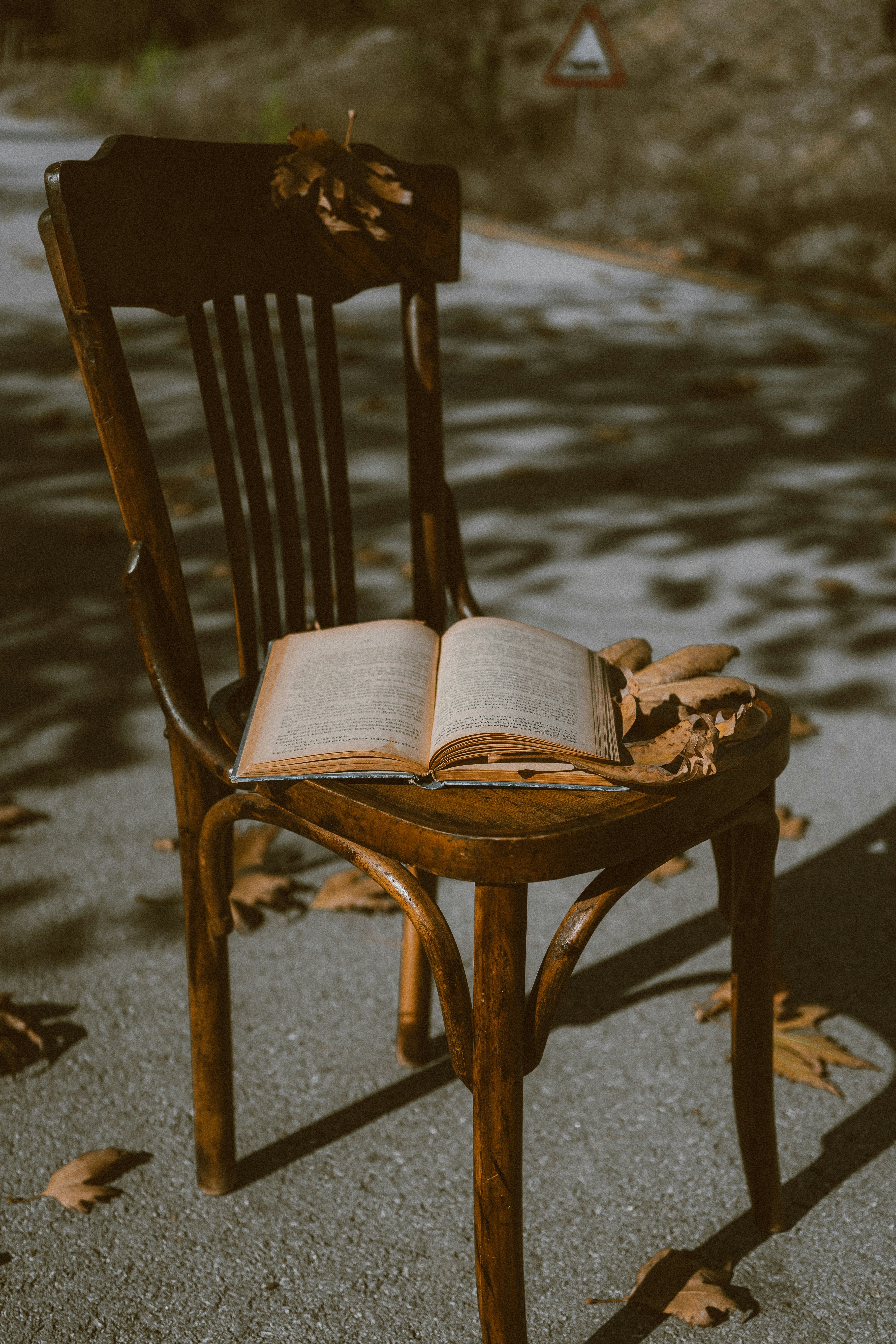 Photo by thefullonmonet