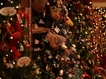 A series of beautifully decorated Christmas trees adorned with a variety of ornaments, including miniatures, ribbons, and festive decorations. The trees are surrounded by warm, ambient lighting that enhances the holiday atmosphere.