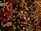 A series of beautifully decorated Christmas trees adorned with a variety of ornaments, including miniatures, ribbons, and festive decorations. The trees are surrounded by warm, ambient lighting that enhances the holiday atmosphere.