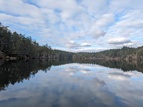 A serene lake reflecting the clear sky and surrounding forest, shot during a morning hike.