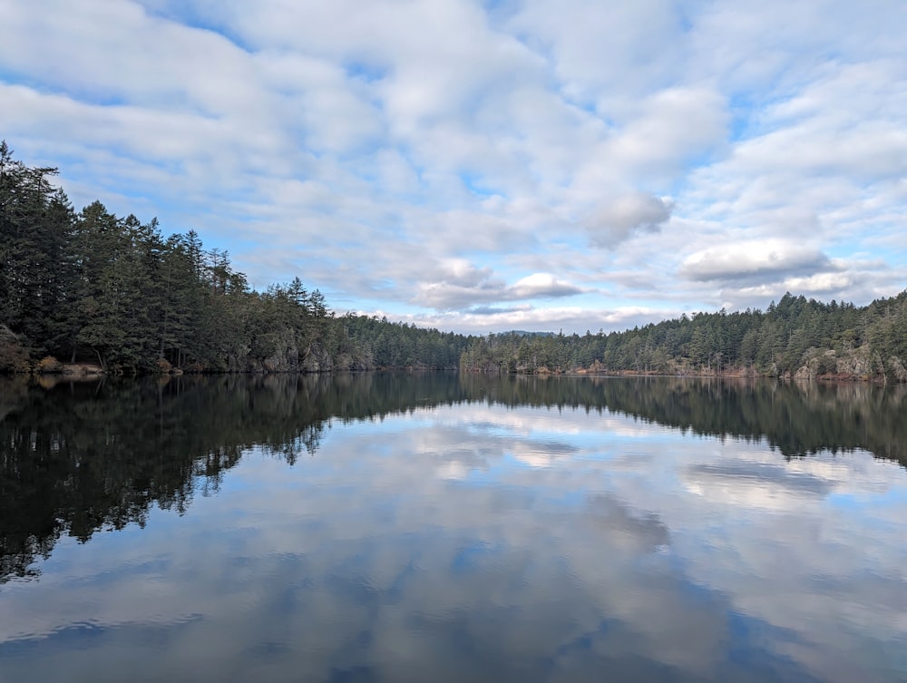a calm lake surrounded by trees under a cloudy sky
