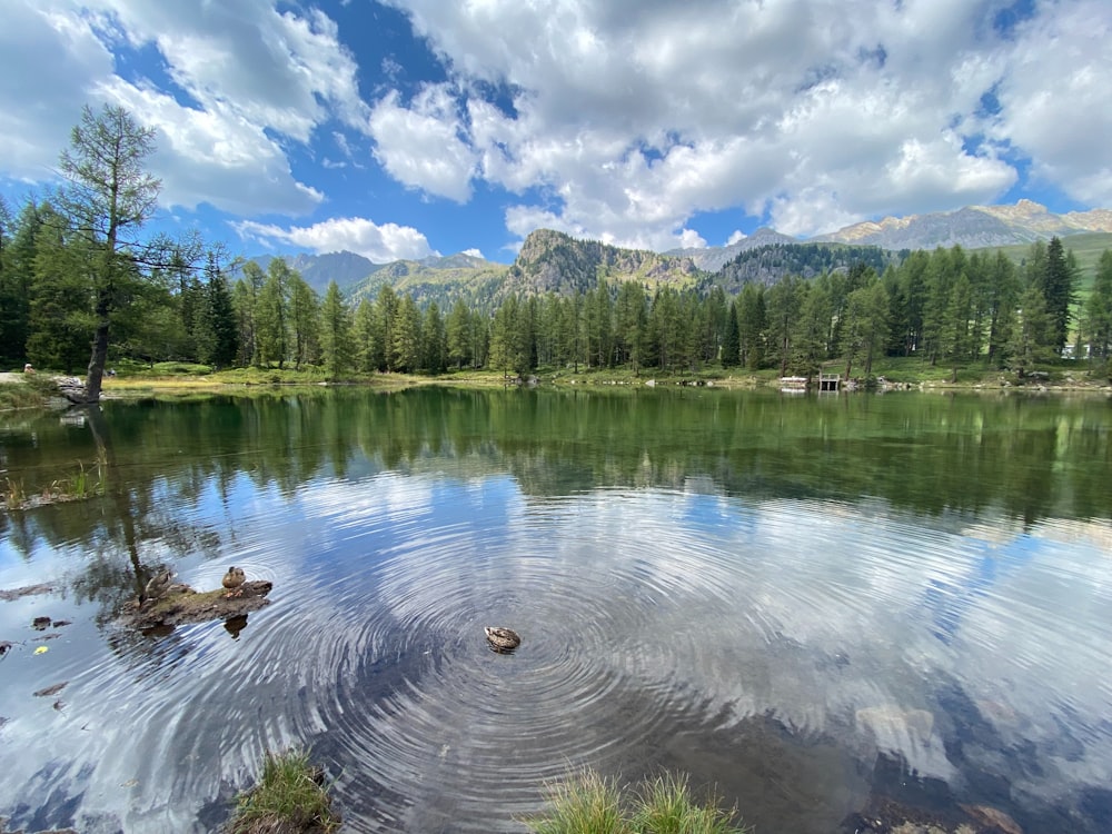 a lake surrounded by trees and mountains under a cloudy sky