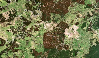 A satellite view of a sprawling landscape with diverse terrain including green vegetation, brown patches, and winding rivers. The colors indicate a mix of forests, open land, and watercourses, demonstrating the natural diversity in elevation and land cover.