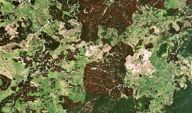 A satellite view of a sprawling landscape with diverse terrain including green vegetation, brown patches, and winding rivers. The colors indicate a mix of forests, open land, and watercourses, demonstrating the natural diversity in elevation and land cover.