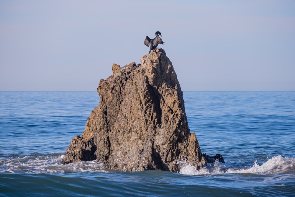 a bird sitting on top of a rock in the ocean