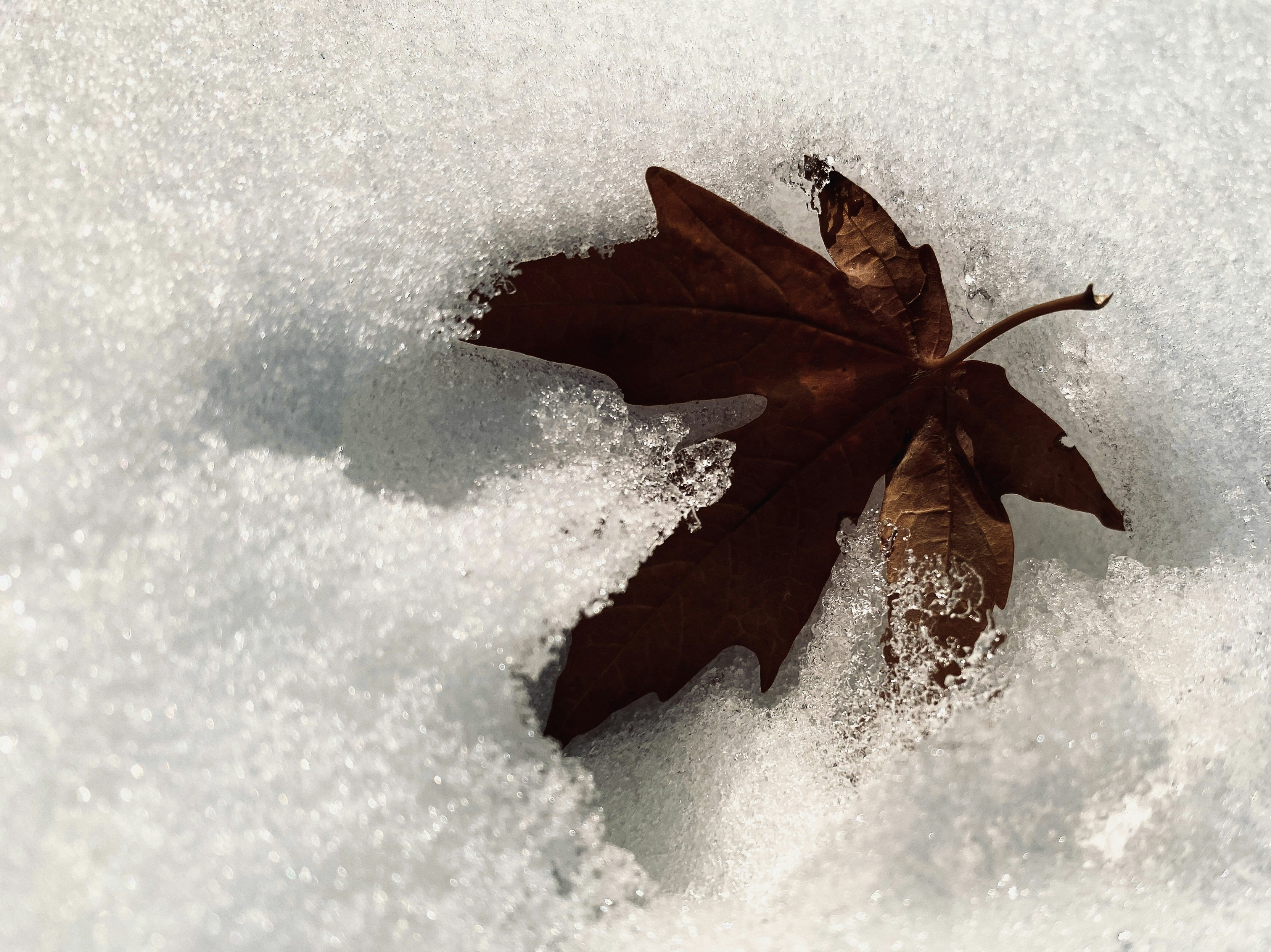 Photo by americanjael