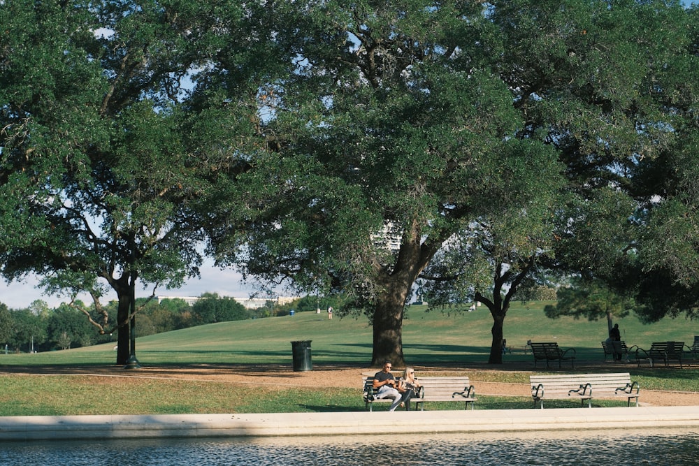 a couple of people sitting on a bench under a tree