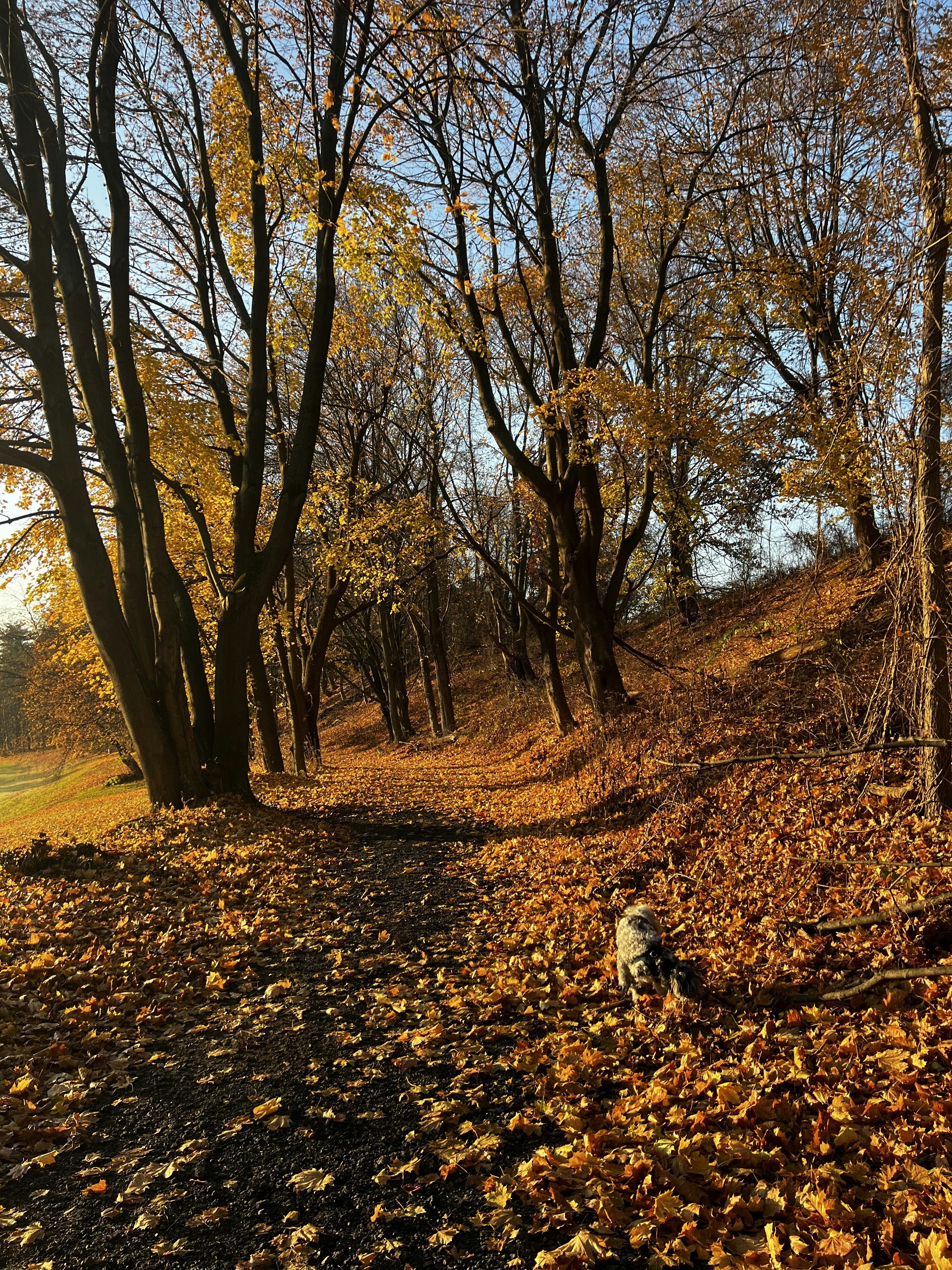 Photo by madelinedale