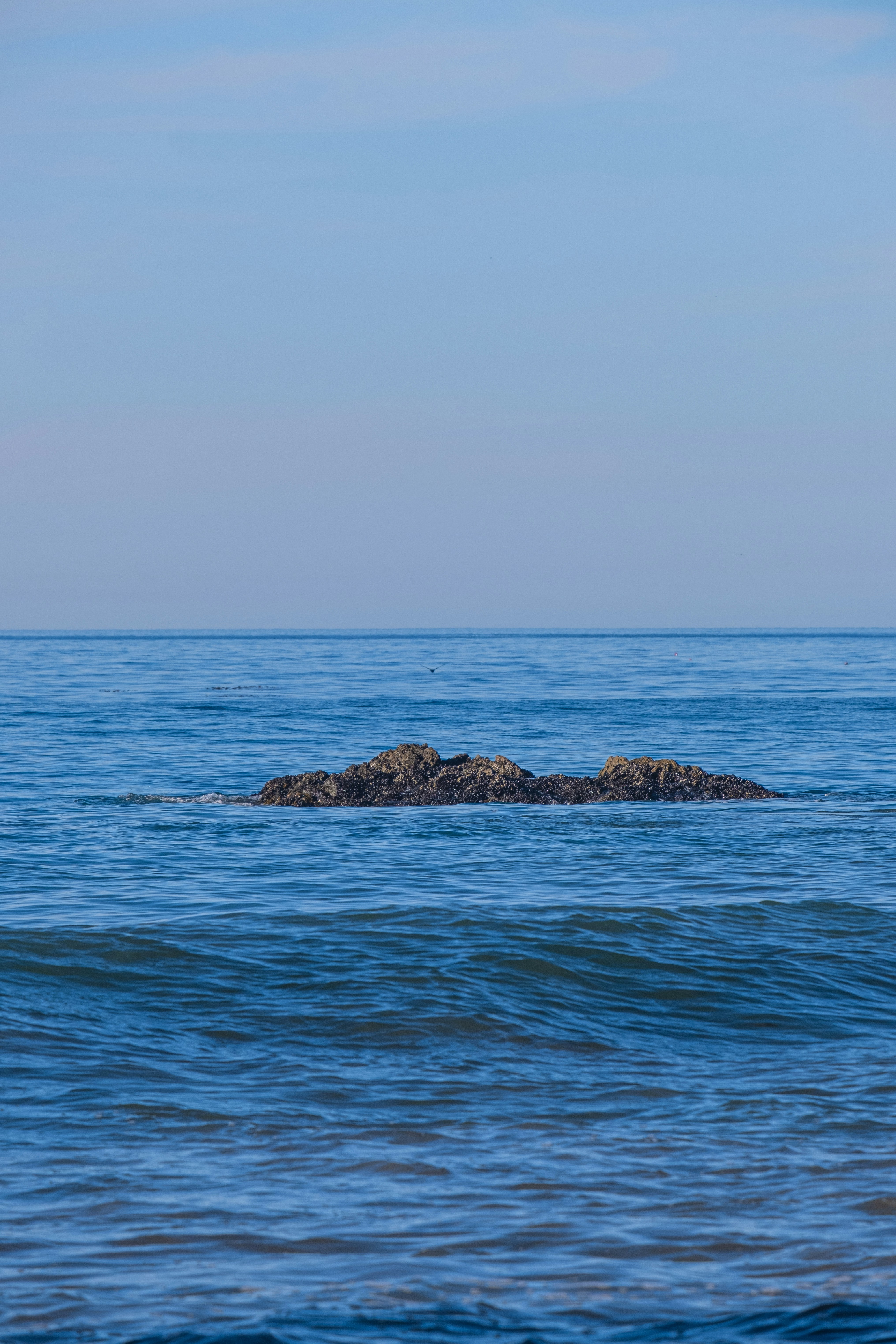 Photo by cestmoisheedy