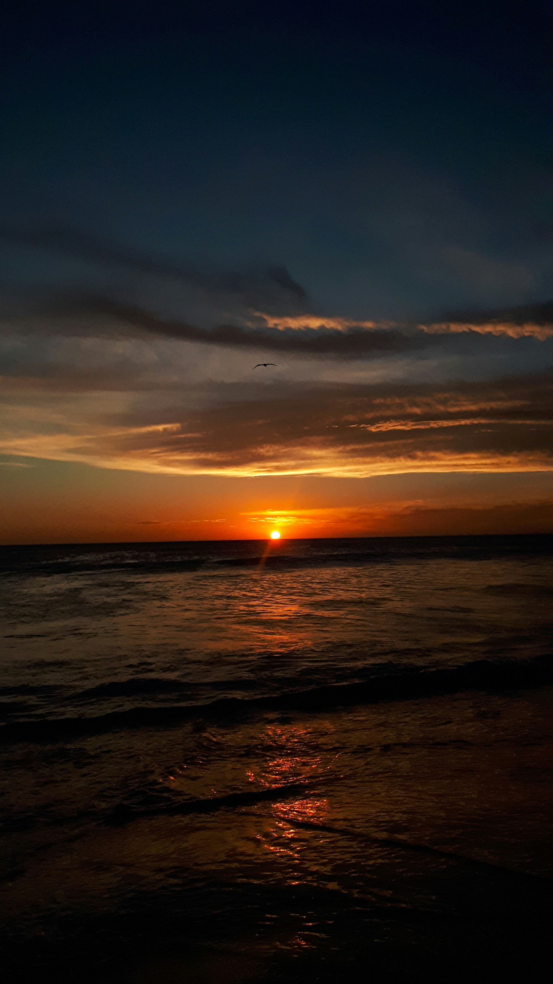 Photo by ribeiro__jean