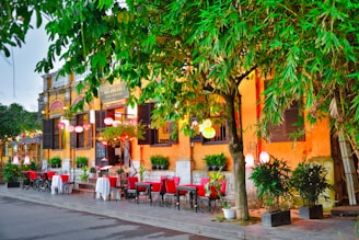 a restaurant with tables and chairs under a tree