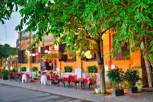 a restaurant with tables and chairs under a tree