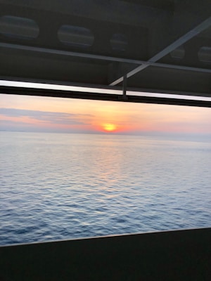 Island Head Sunset Dolphin Tour