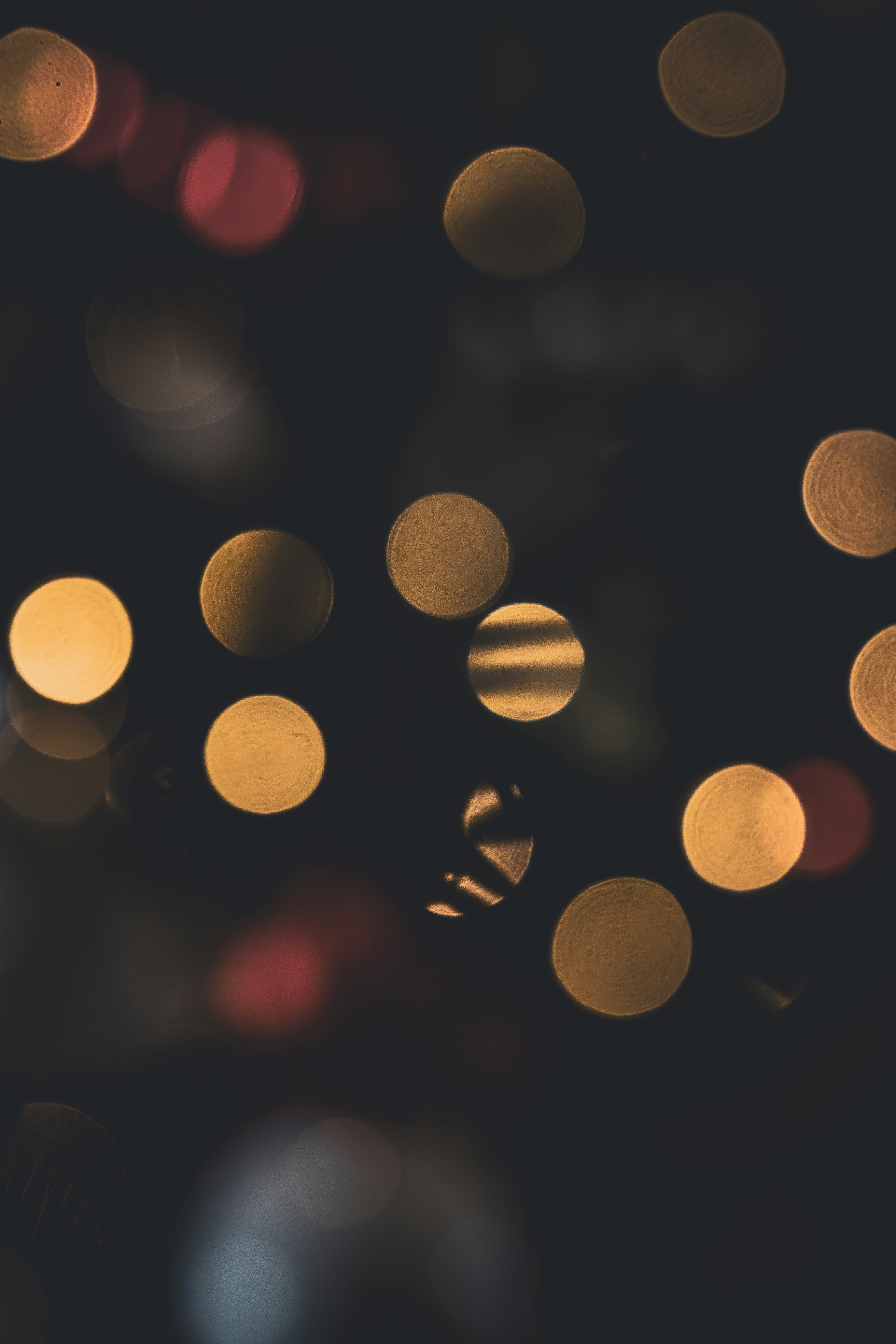 Photo by seaolivestudios