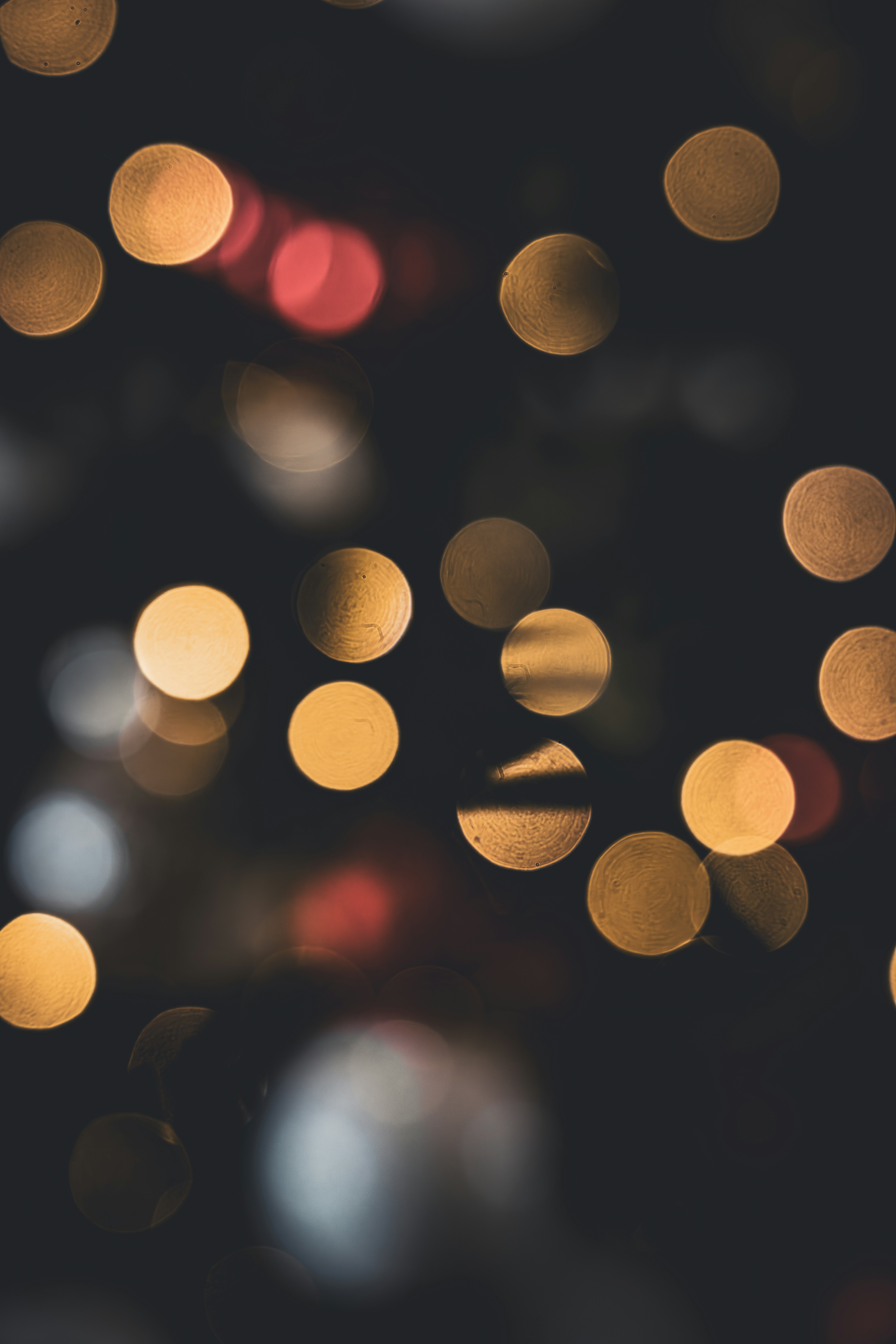 Photo by seaolivestudios