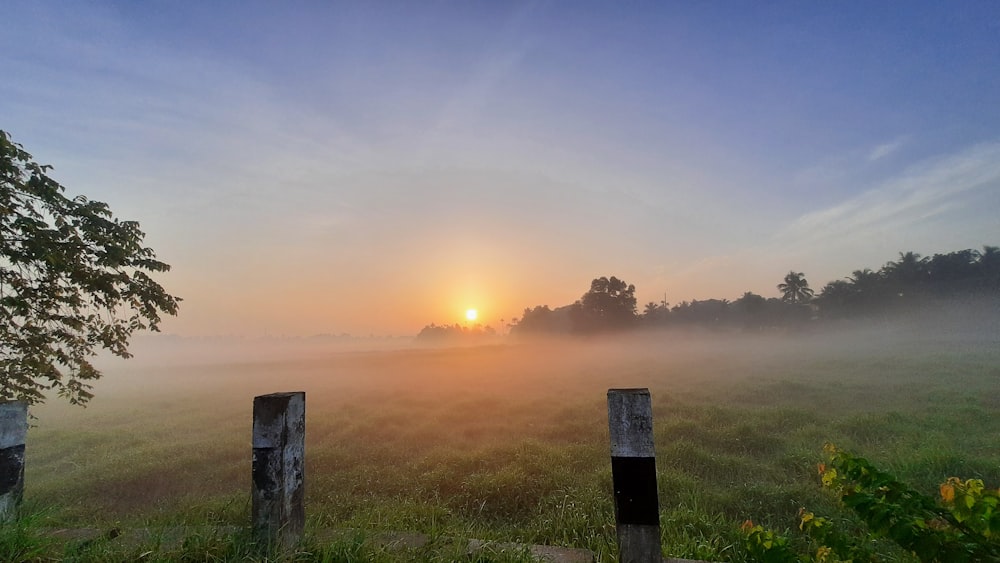 a foggy field with the sun setting in the distance