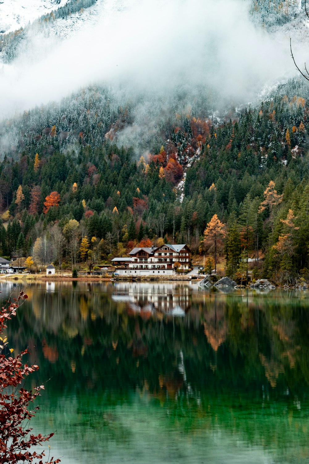 a lake surrounded by a forest covered mountain