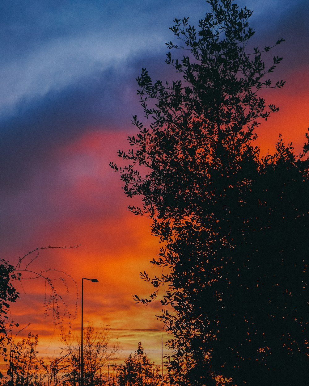 a red and blue sky with clouds and trees