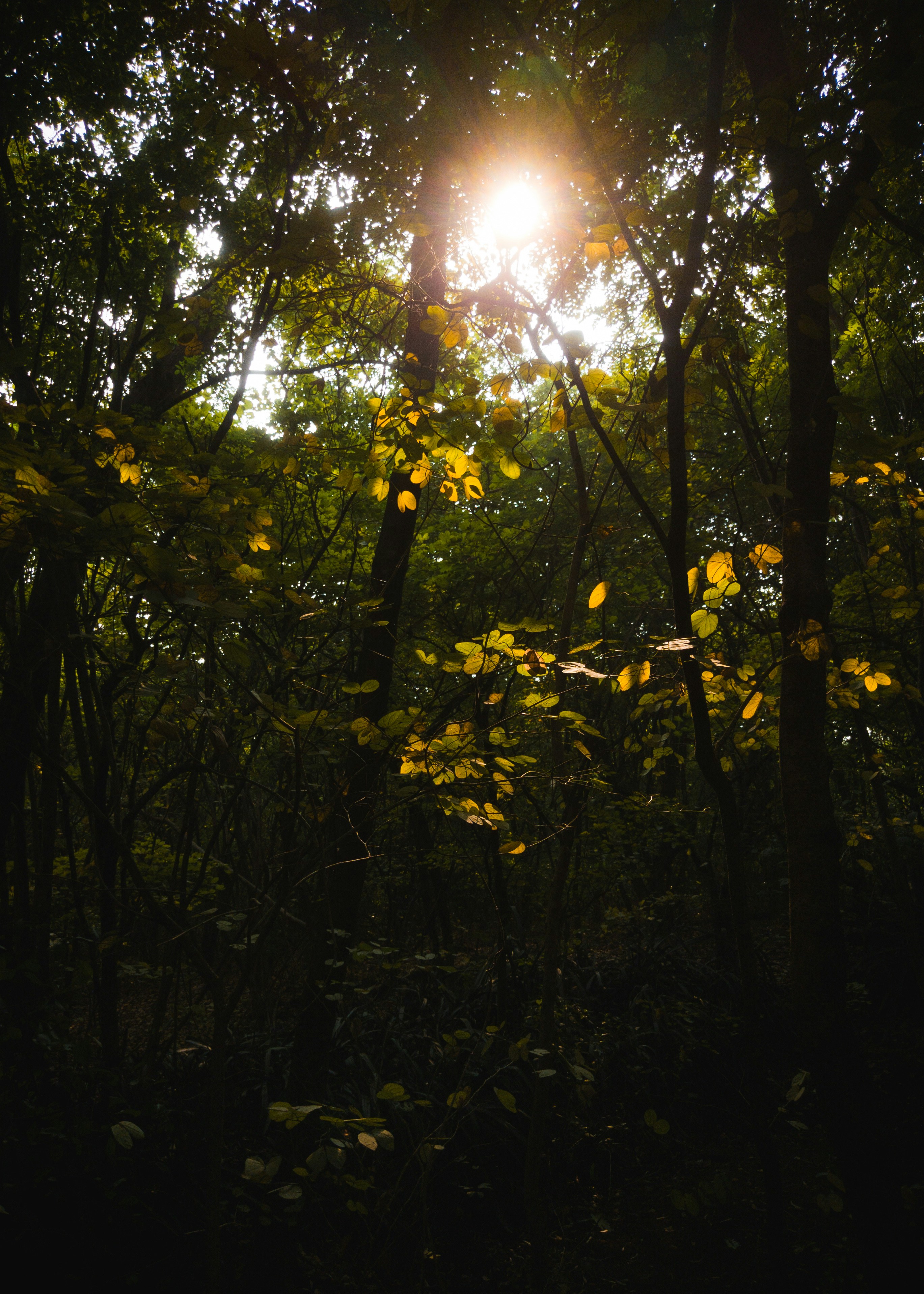 Photo by sanketjawali