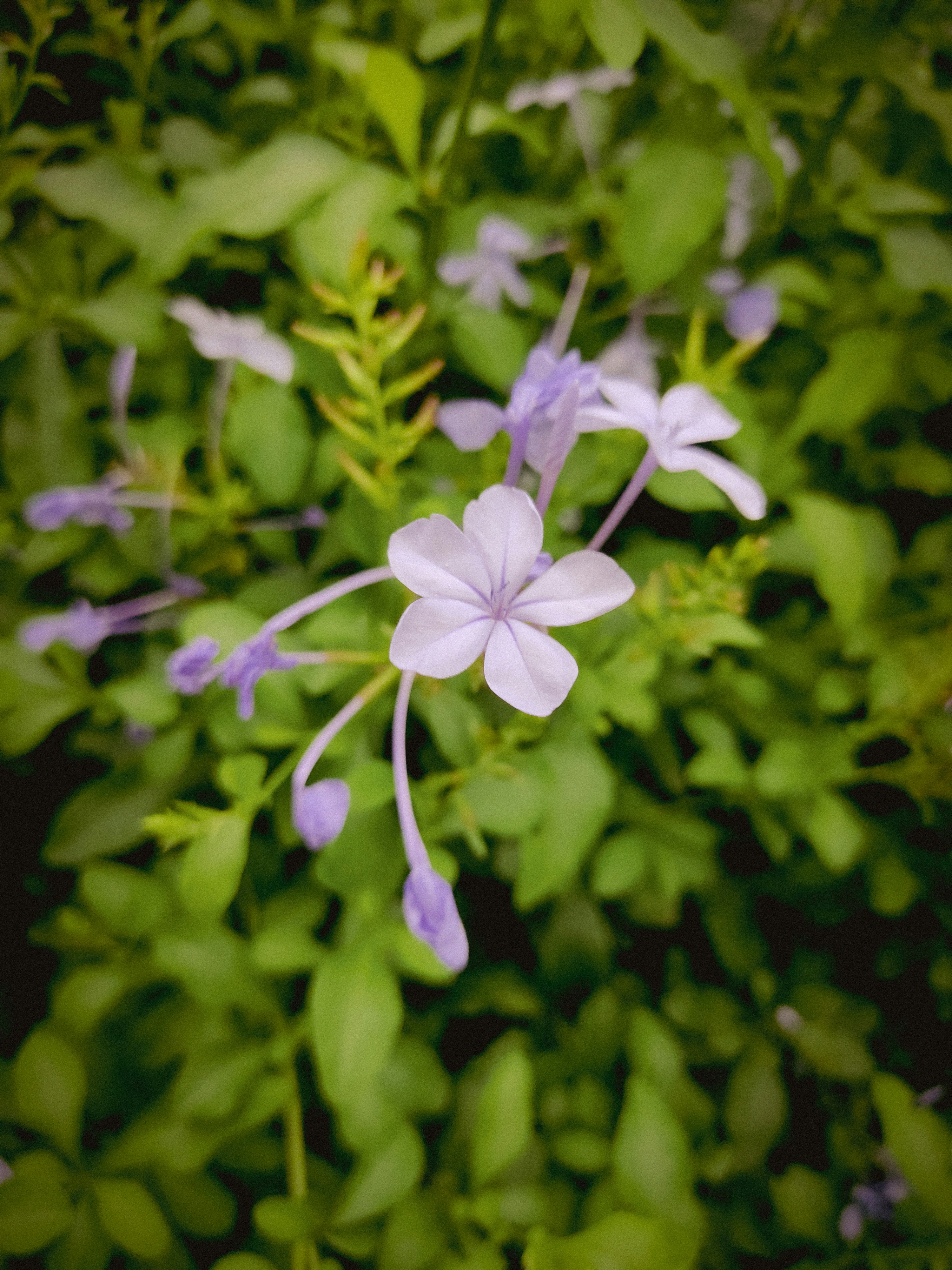 Photo by sanketjawali