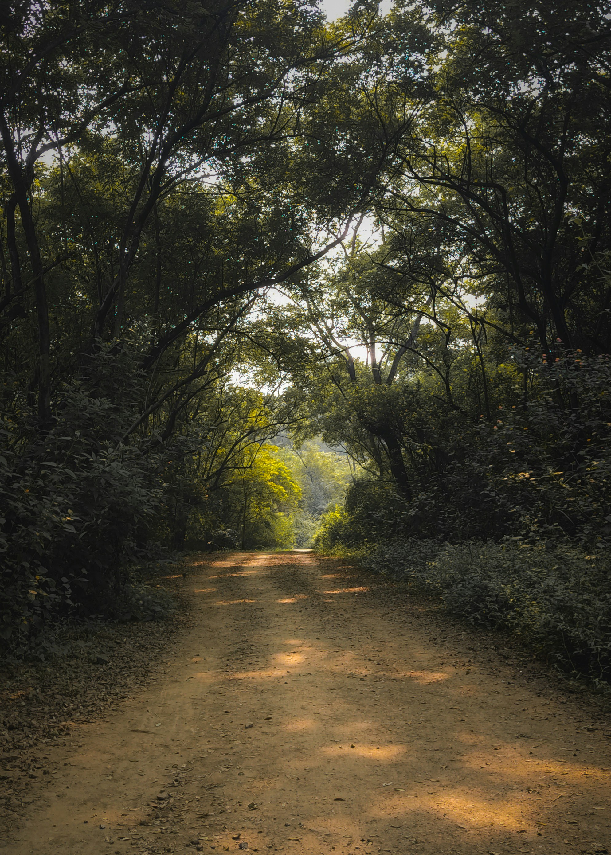 Photo by sanketjawali