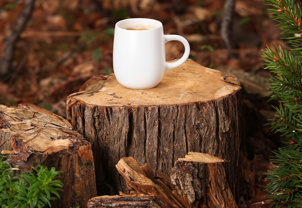 una taza de café sentada en lo alto de un tocón de árbol
