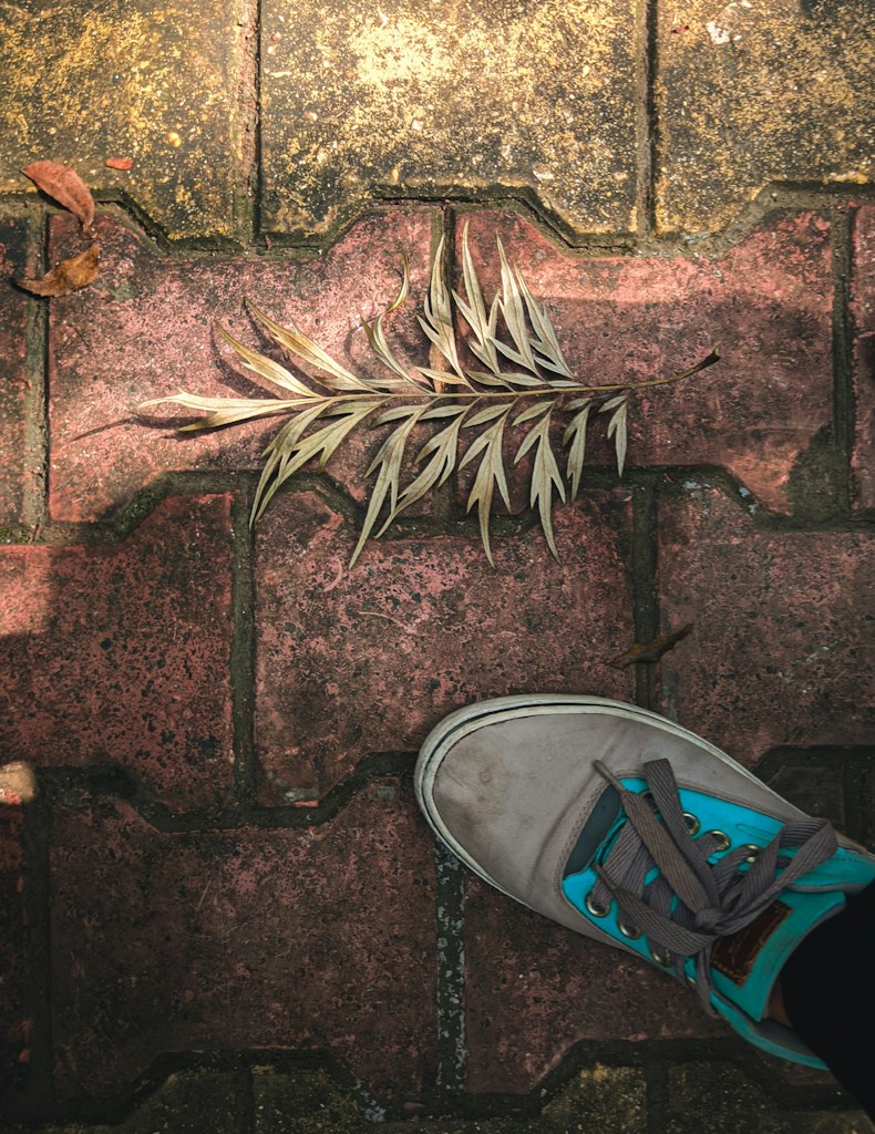 Brown Leather Sneakers