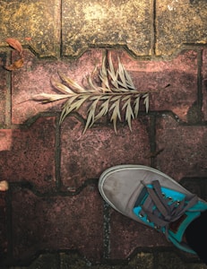 Brown Leather Sneakers