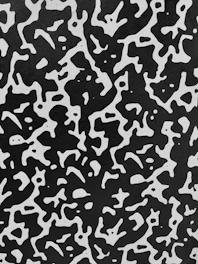 A minimalist black and white abstract pattern symbolizing complexity and disorder.
