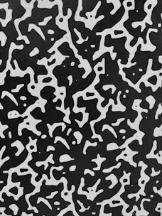 A minimalist black and white abstract pattern symbolizing complexity and disorder.