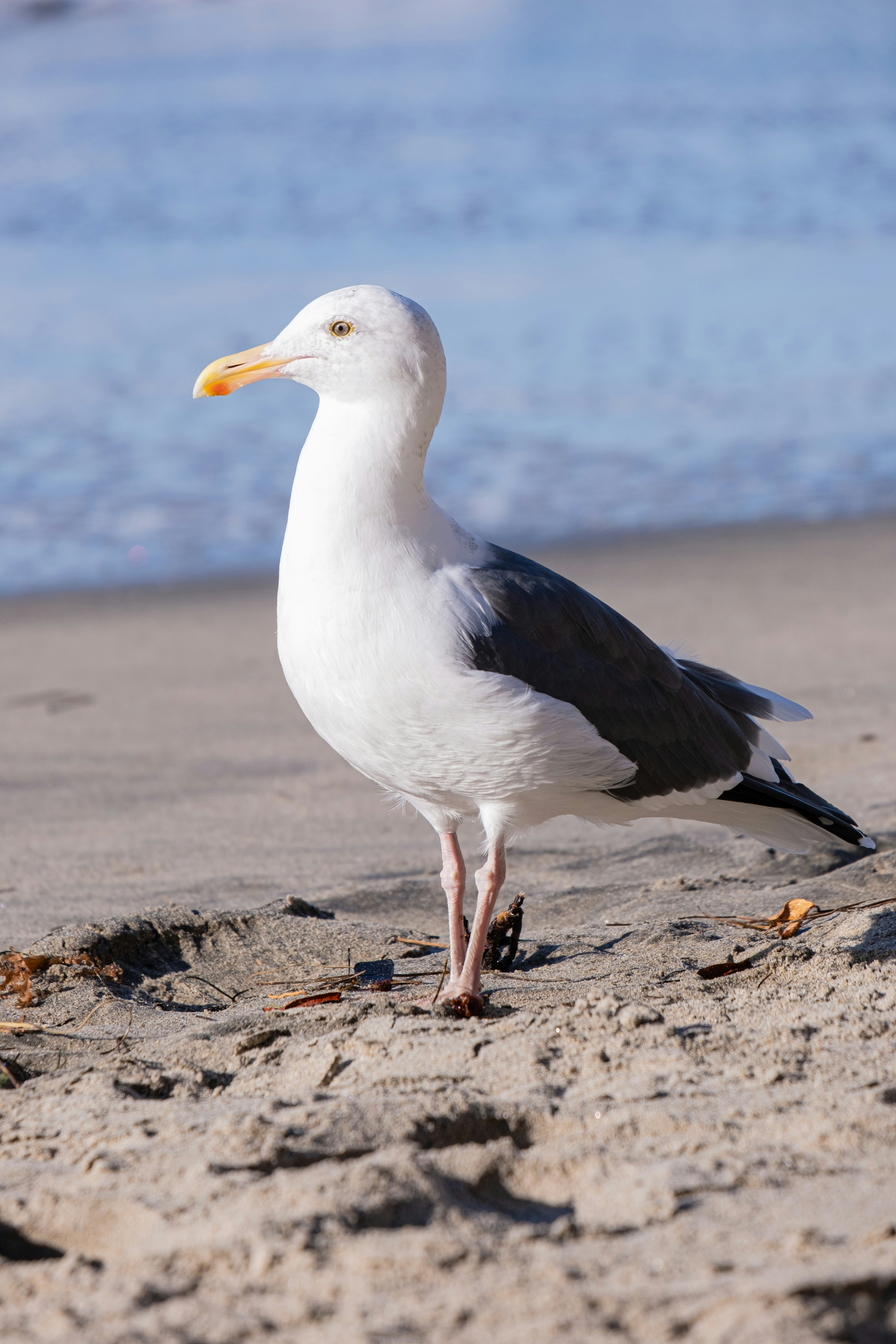 Photo by cestmoisheedy