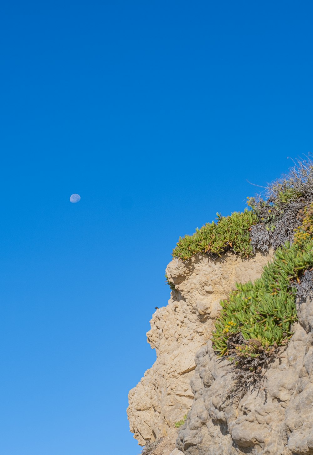 a view of a cliff with a moon in the sky