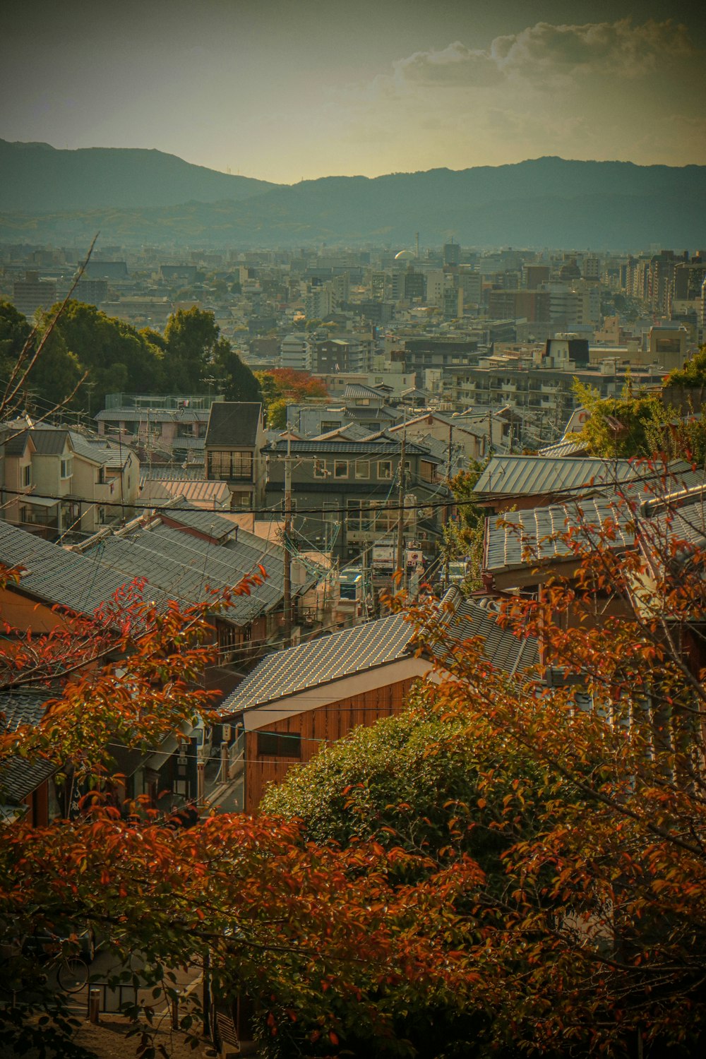 a view of a city with mountains in the background