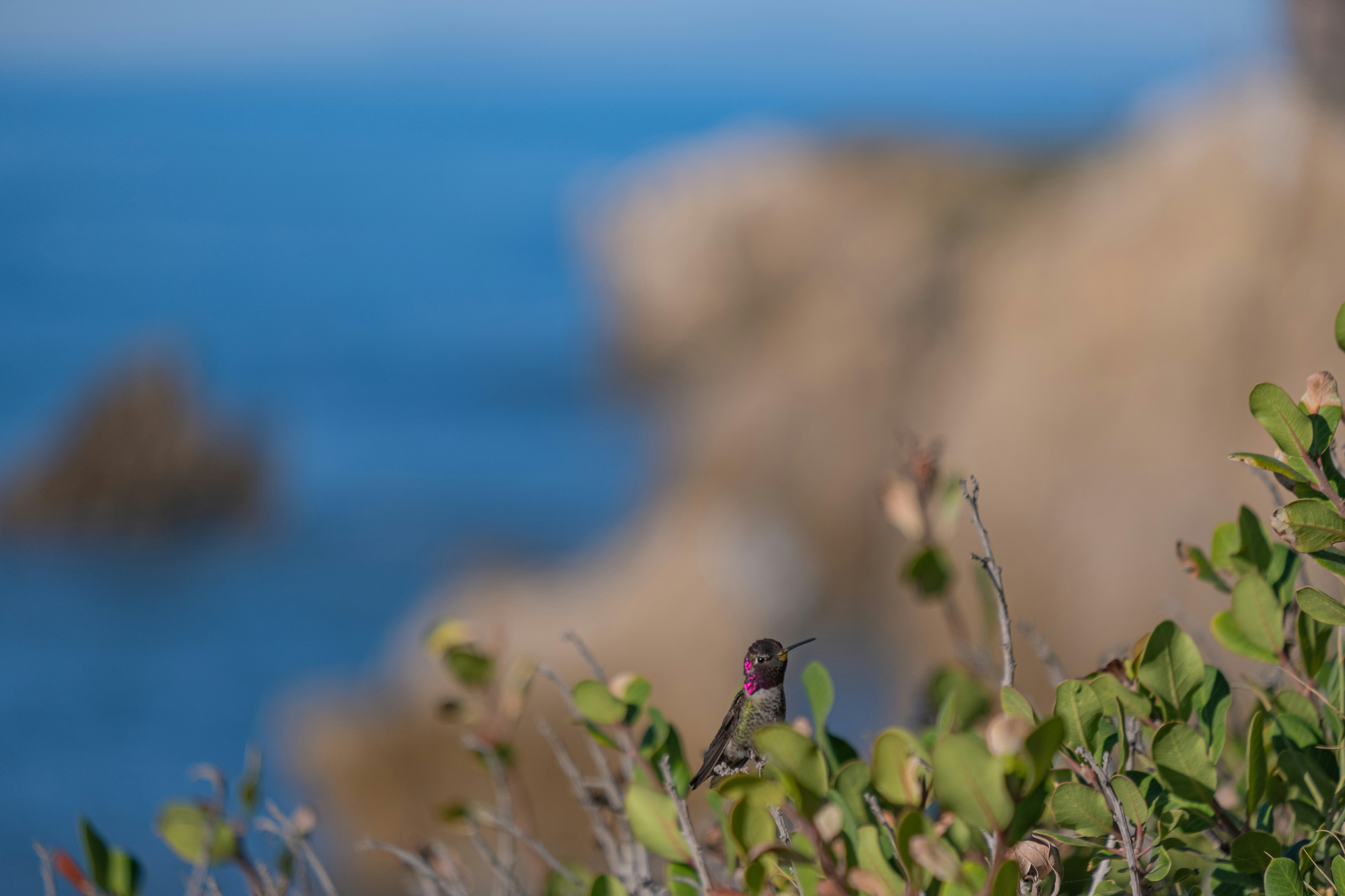 Photo by cestmoisheedy