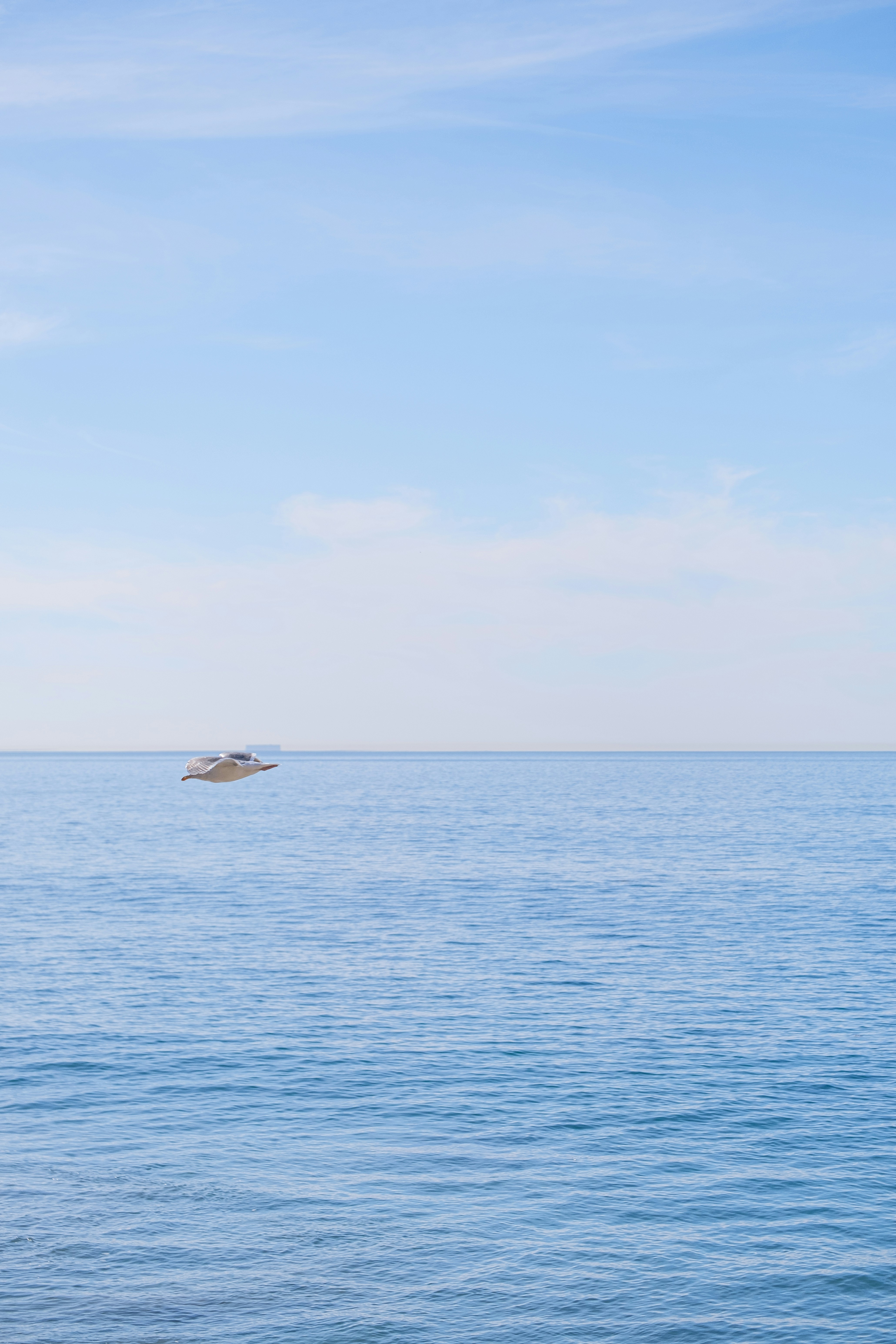 Photo by cestmoisheedy