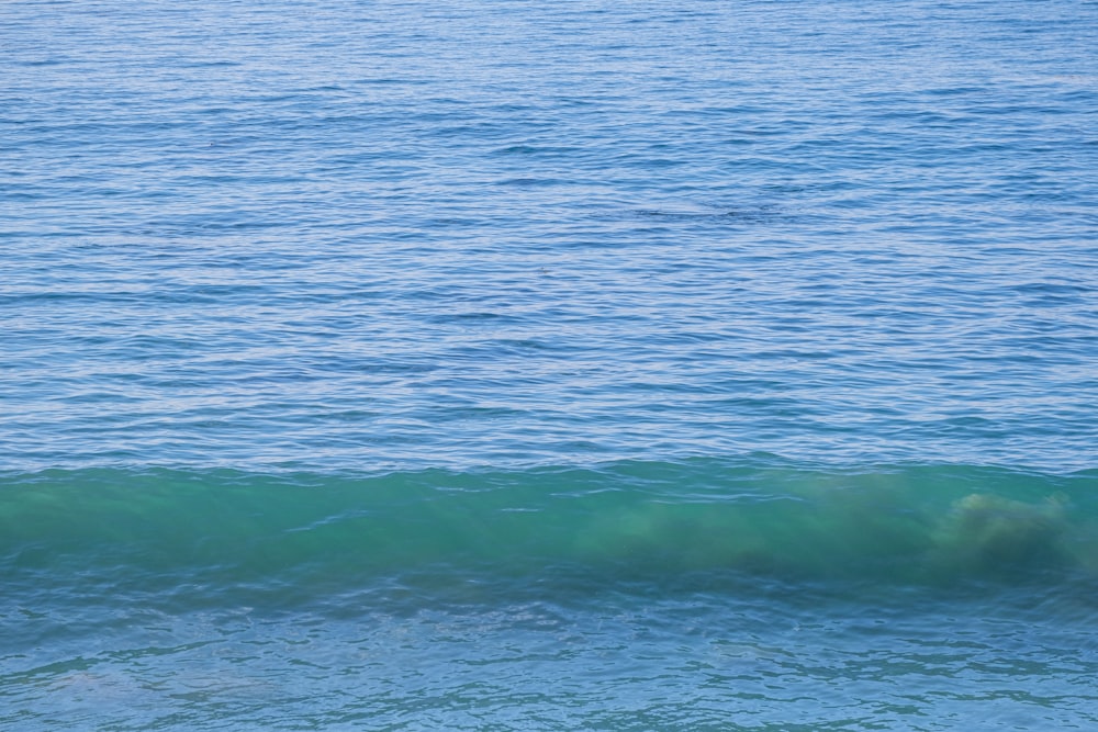 ein Mann, der auf einer Welle auf einem Surfbrett reitet