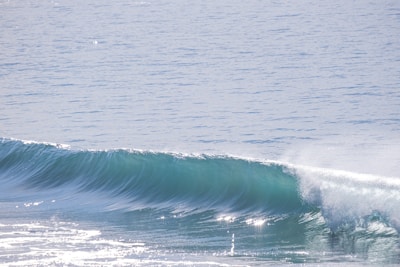Clear ocean water sparkling under the warm Illawarra sun with gentle waves.