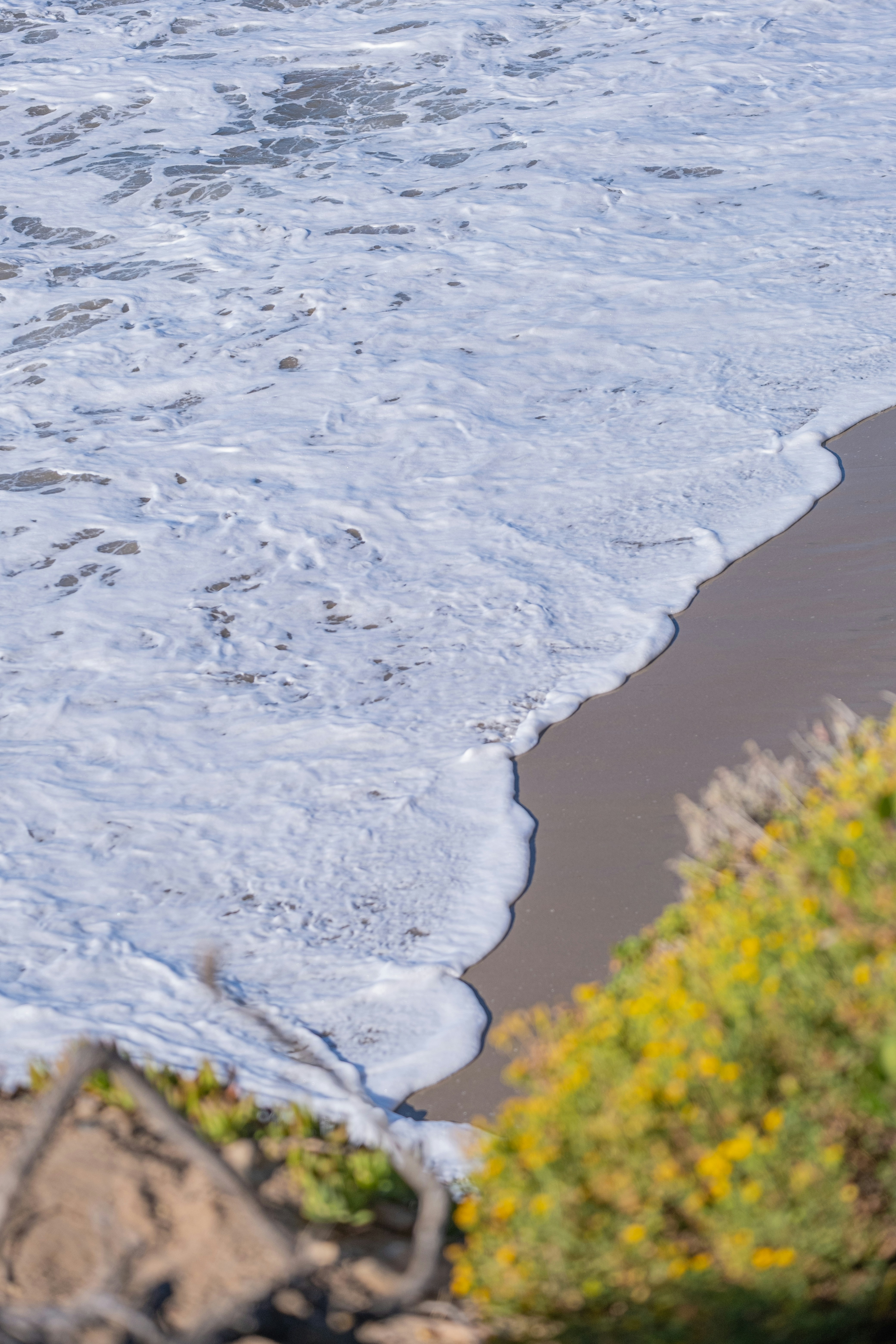 Photo by cestmoisheedy