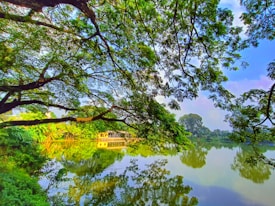 A tranquil scene featuring a lake surrounded by lush greenery and tall trees, with branches extending over the water. The reflection on the water is clear, capturing the vivid green of the leaves and the blue sky above. In the background, there is a small building partially obscured by the foliage.