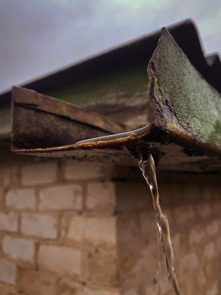 Roof Washing
