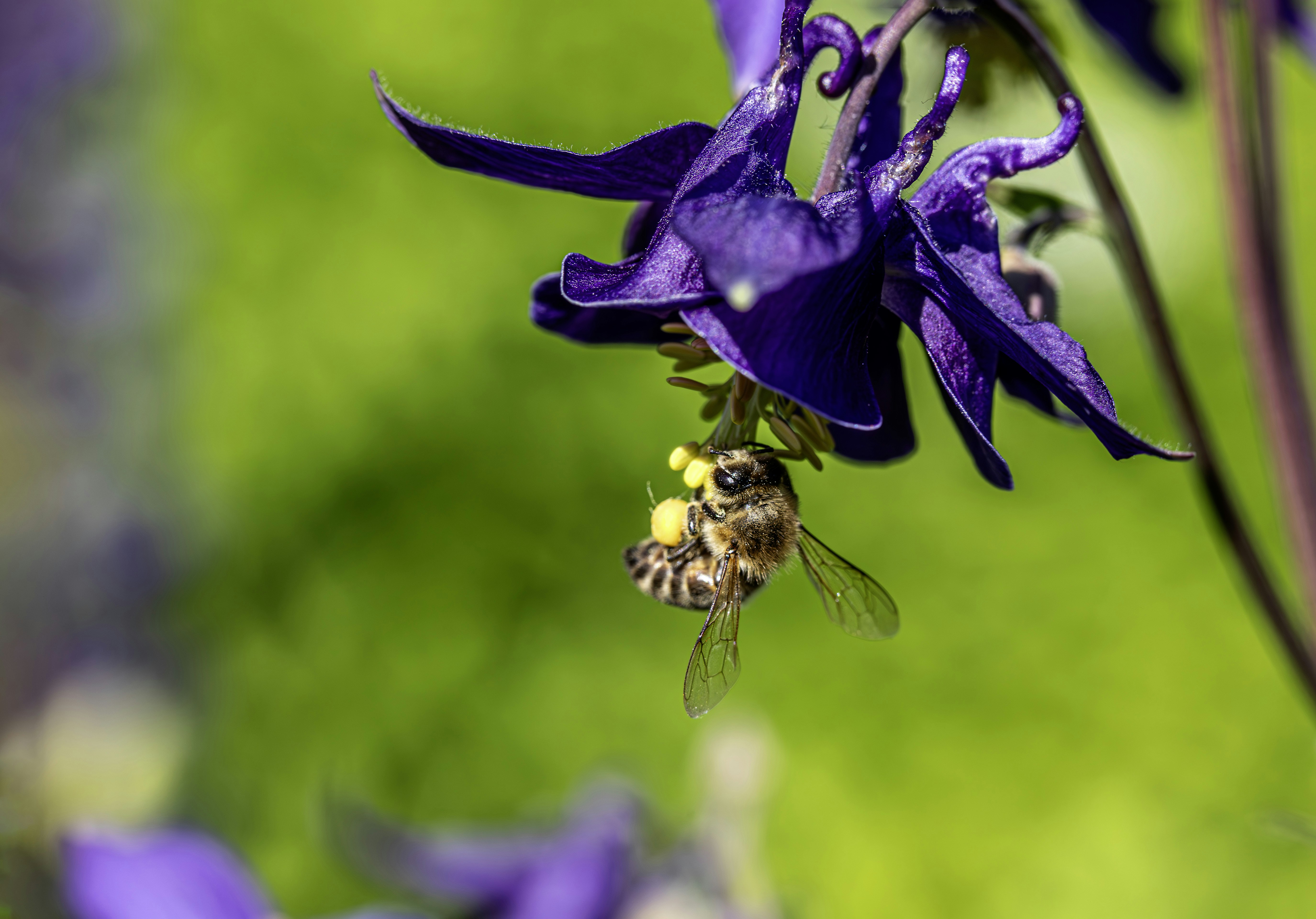 Photo by erik_karits