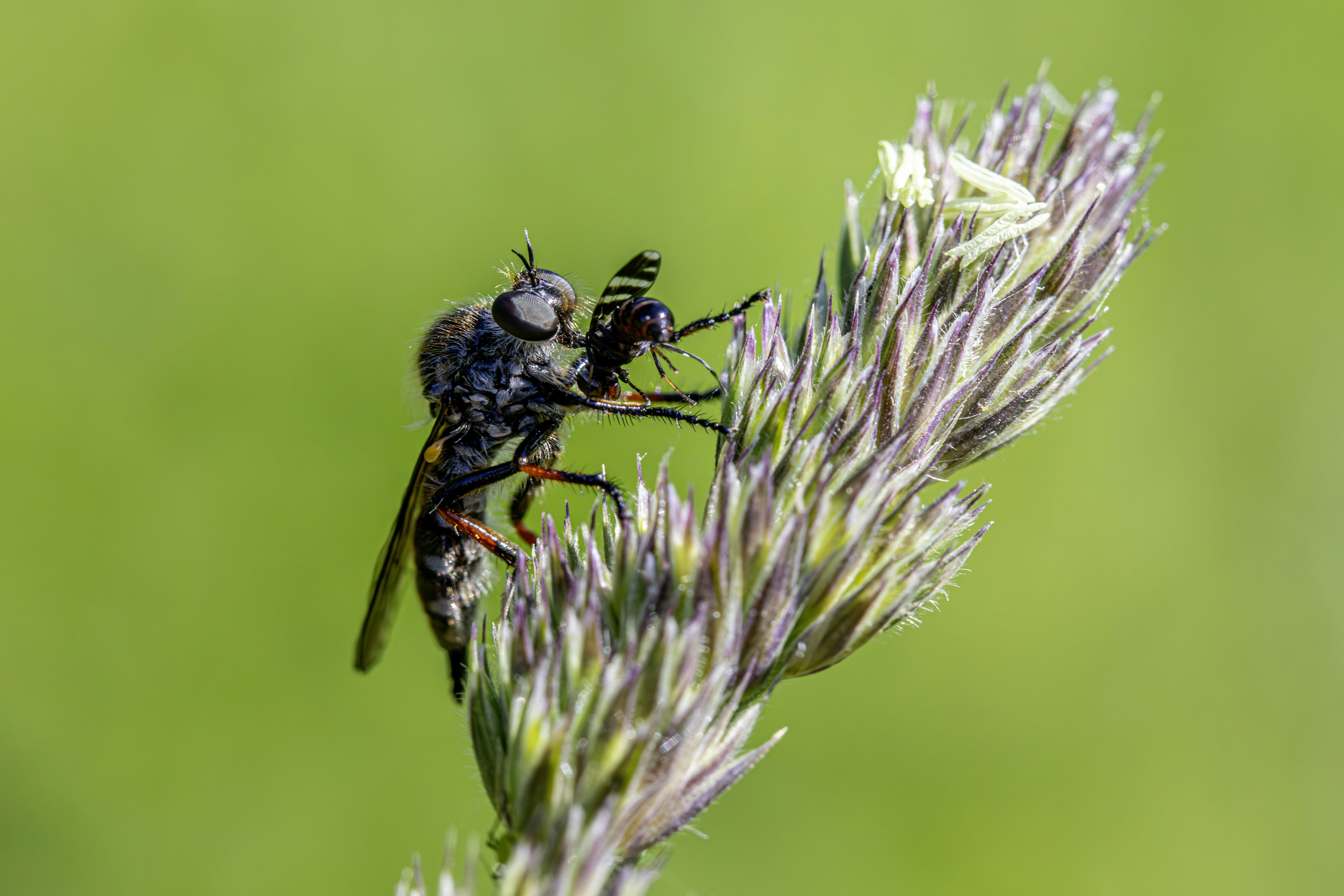 Photo by erik_karits