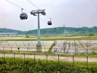 Cable cars are suspended from a metal cable over an expansive landscape featuring fields and a clear sky. In the distance, there is a bridge crossing a river with lush green hills beyond. A metal fence runs parallel to a dirt road at the base of the scene.