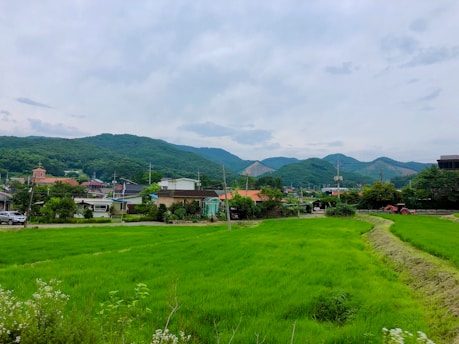 A lush green landscape with vibrant fields, several houses, and a distant view of hills under a partly cloudy sky. Power lines and a few small trees are scattered throughout the village area.