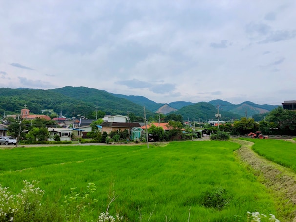 A lush green landscape with vibrant fields, several houses, and a distant view of hills under a partly cloudy sky. Power lines and a few small trees are scattered throughout the village area.