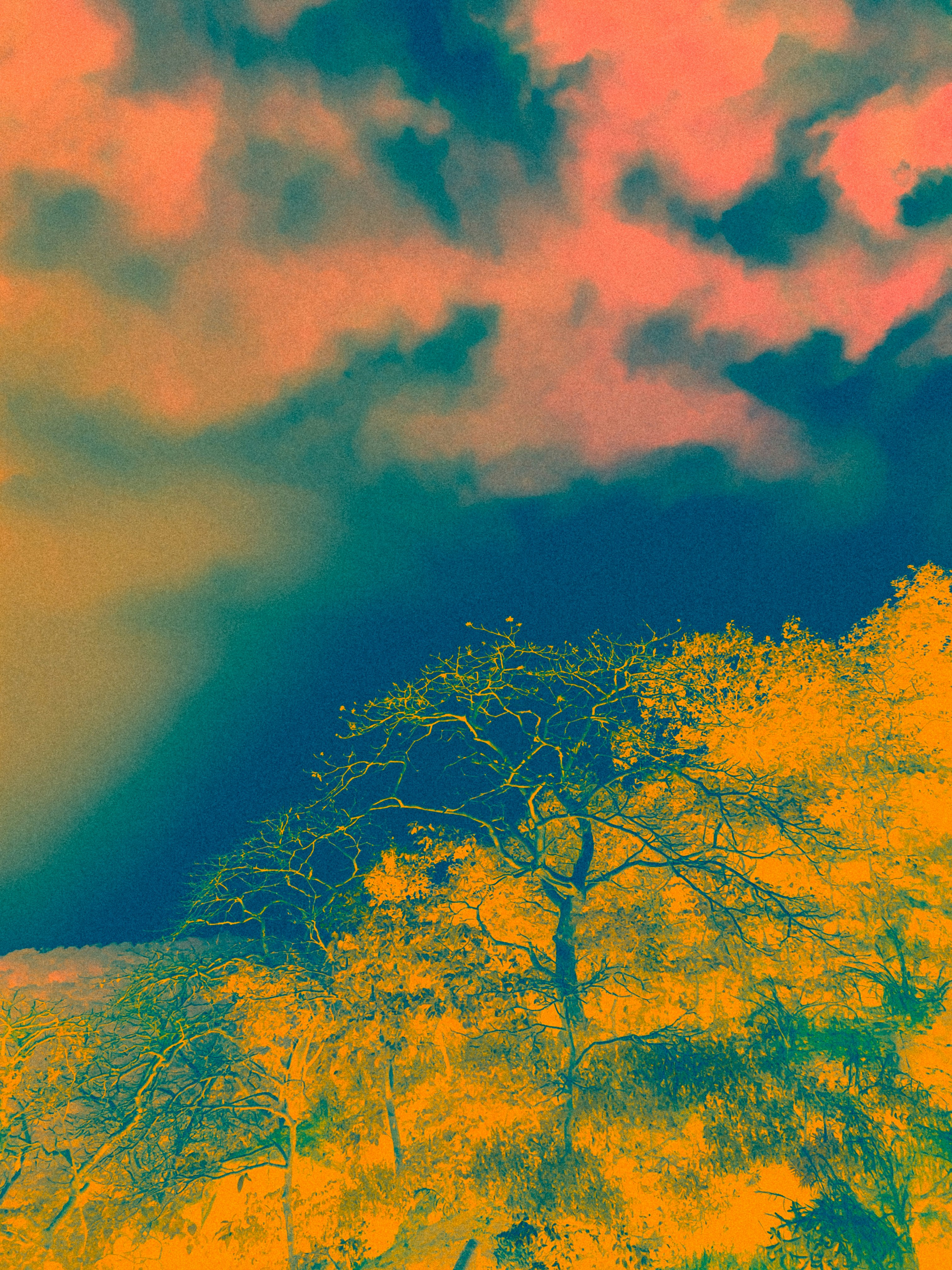 Photo by wondereggperson