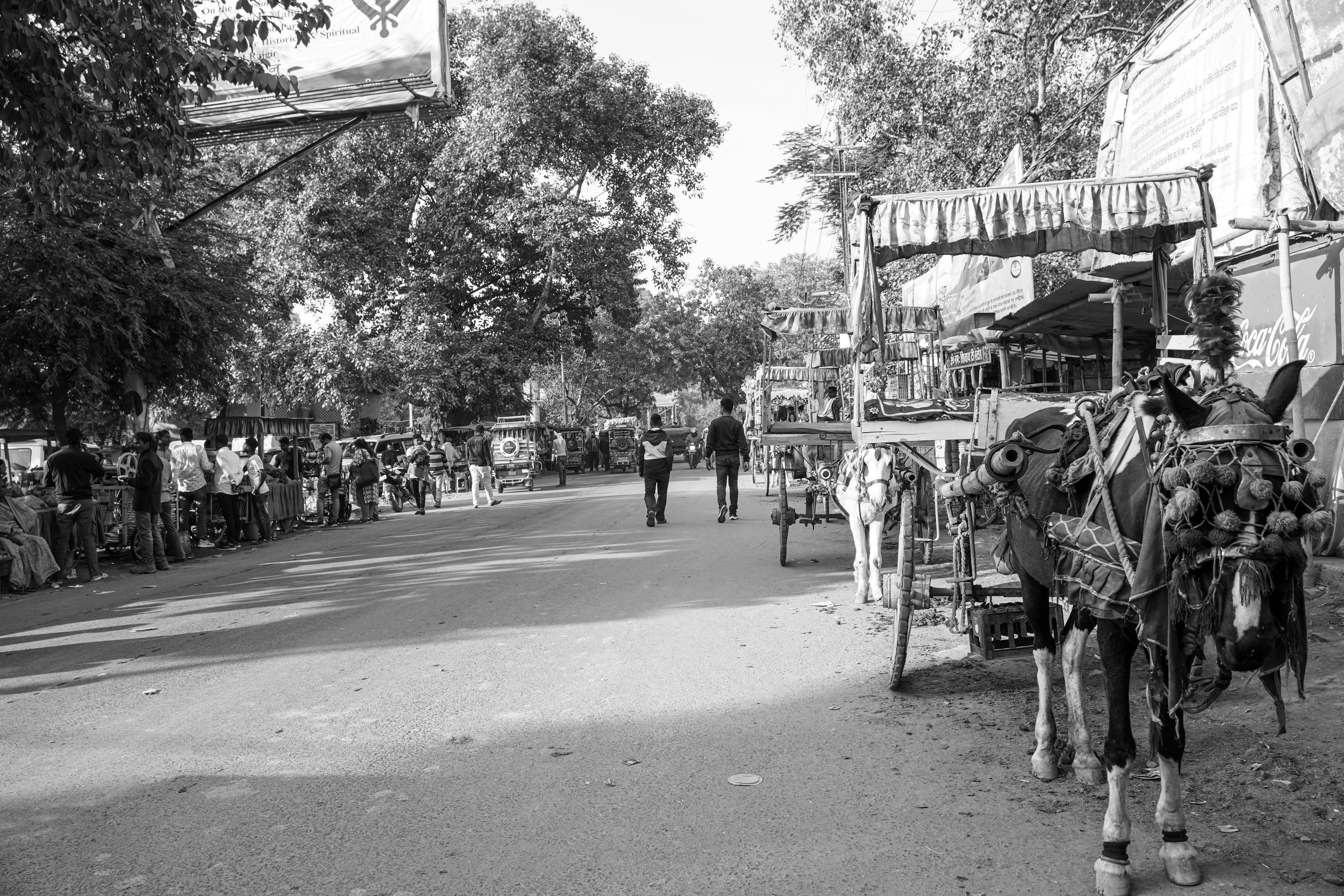 Photo by rajurajkumar28